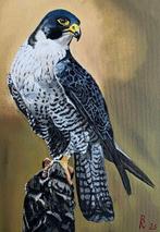 R.Benda(1953) - Slechtvalk in mooie pose