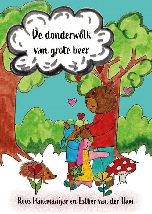 De donderwolk van grote beer 9789493314061 Roos Hanemaaijer, Boeken, Kinderboeken | Kleuters, Zo goed als nieuw, Verzenden