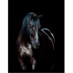 Zwart Paard 3 60x80x3cm, Huis en Inrichting, Nieuw, Ophalen of Verzenden