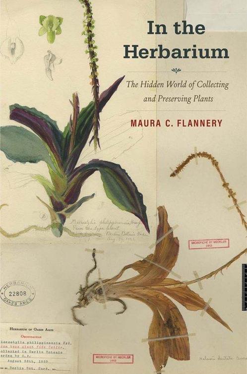 9780300247916 In the Herbarium Maura C. Flannery, Boeken, Studieboeken en Cursussen, Nieuw, Verzenden