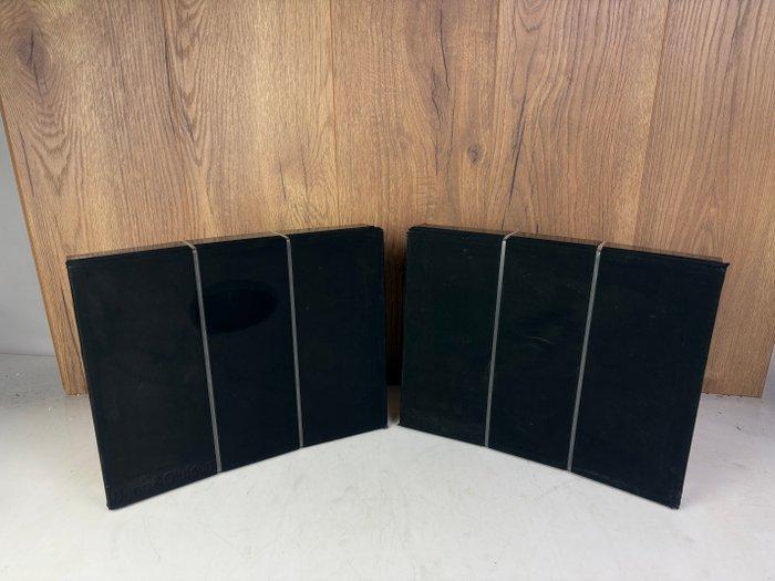 Bang & Olufsen - Beovox RL 1000 Type 6520 Luidsprekerset, Audio, Tv en Foto, Stereo-sets