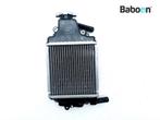 Radiateur Piaggio | Vespa GTS 125 2018-2020 (GTS125, Verzenden, Gebruikt