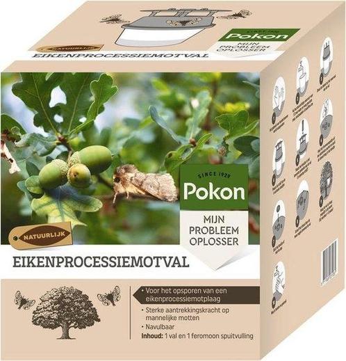 POKON EIKENPROCESSIEMOTVAL (INSECTENBESTRIJDING), Diensten en Vakmensen, Ongediertebestrijding