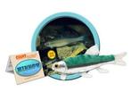 Giant Microbes Minnow (Pimephales Notatus - Voorn), Nieuw