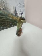 Bijeneter Taxidermie volledige montage - merops apiaster -, Nieuw