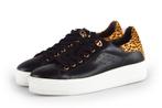 Cellini Sneakers in maat 38 Zwart | 10% extra korting, Kleding | Dames, Schoenen, Verzenden, Zwart, Cellini, Sneakers of Gympen