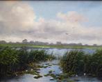 Cor van Reken ( 1879-1959 ) - Plaslandschap