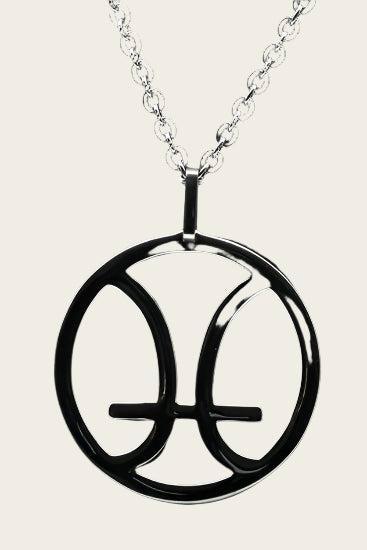 RVS Sterrenbeeld Vissen design ketting hanger - edelstaal, Sieraden, Tassen en Uiterlijk, Kettinghangers, Nieuw, Verzenden