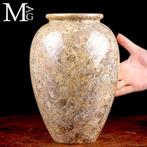 Fossiele sedimenten uit het Paleozoïcum Ornamentale vaas in, Verzamelen