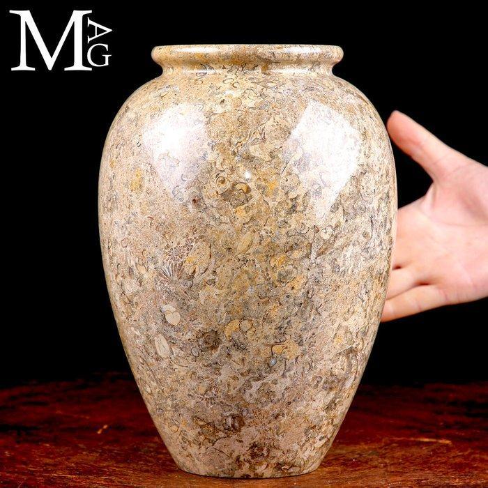 Fossiele sedimenten uit het Paleozoïcum Ornamentale vaas in, Verzamelen, Mineralen en Fossielen