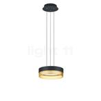 Hell Mesh Hanglamp LED, zwart/goud - 30 cm (Hanglampen), Huis en Inrichting, Lampen | Hanglampen, Verzenden, Nieuw