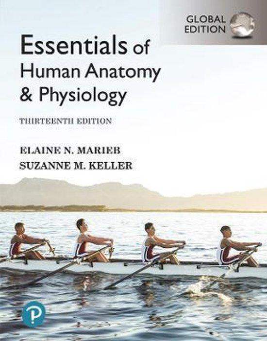 Essentials of Human Anatomy & Physiology, 9781292401942, Boeken, Studieboeken en Cursussen, Zo goed als nieuw, Verzenden