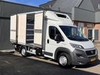 Fiat Ducato 35 2.3 JTD 177pk, Wit, Nieuw, Lease, Fiat