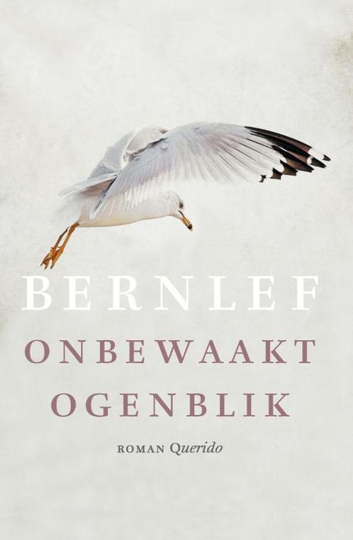 Onbewaakt ogenblik 9789021447117 Bernlef, Boeken, Romans, Zo goed als nieuw, Verzenden