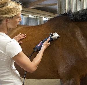 Heiniger Xperience 2-Speed paarden scheermachine (31/15), Zakelijke goederen, Agrarisch | Werktuigen, Ophalen of Verzenden