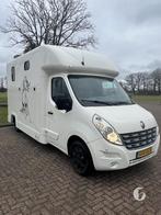 Renault paardenwagen uit 2011 met maar 85.000KM!, Dieren en Toebehoren, Paarden en Pony's | Trailers en Aanhangwagens, Ophalen
