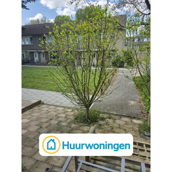 Te huur: Appartement Torenmolen in Purmerend, Huizen en Kamers, Huizen te huur, Noord-Holland, Appartement