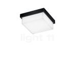 Helestra Cosi Plafondlamp LED, zwart mat - 11 cm, Verzenden, Nieuw, Glas