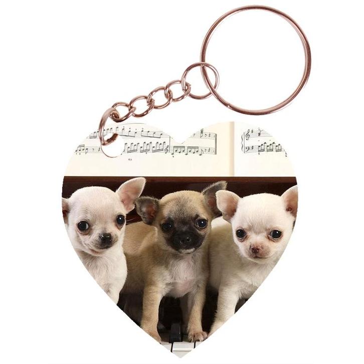 Sleutelhanger hartje 5x5cm - Chihuahuas op Piano met Bladmuz, Verzamelen, Sleutelhangers, Nieuw, Ophalen of Verzenden