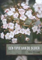 Een tipje van de sluier 9789052945996 Betsy Weening, Verzenden, Zo goed als nieuw, Betsy Weening