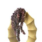 Kunst Erwtenplantje | Donkerpaars | 35cm, Nieuw, Verzenden