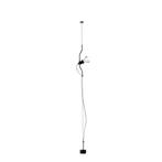 Flos - Achille Castiglioni - Plafondlamp - Dimbare zwarte