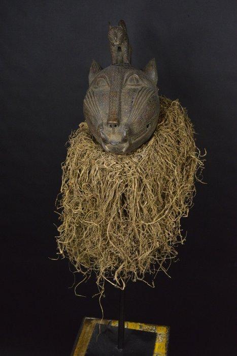 Ifé - Nigeria, Antiek en Kunst, Kunst | Niet-Westerse kunst