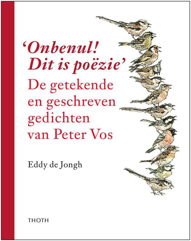 Onbenul! Dit is poëzie 9789068688627 Eddy de Jongh, Boeken, Kunst en Cultuur | Beeldend, Gelezen, Verzenden