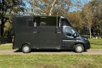 Peugeot Boxer Flex  Horsetruck, Verzenden, Gebruikt