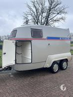 Oerdegelijke Mustang vol-polyester 2 Paards!, Ophalen, Zo goed als nieuw, Polyester, 2-paards trailer