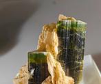 Elbaite tourmaline groengekoppelde kristallen - Hoogte: 6 cm