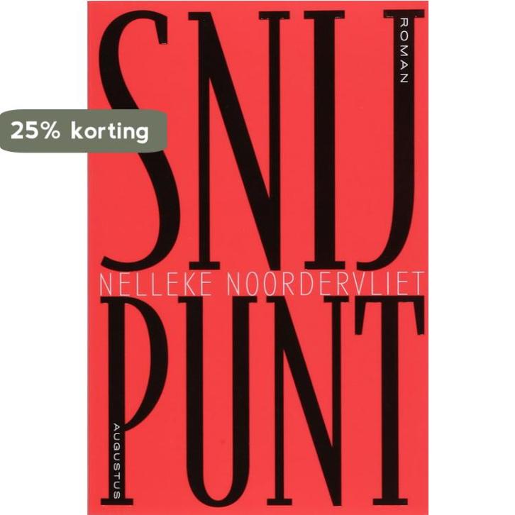 Snijpunt 9789045701448 Nelleke Noordervliet, Boeken, Romans, Gelezen, Verzenden