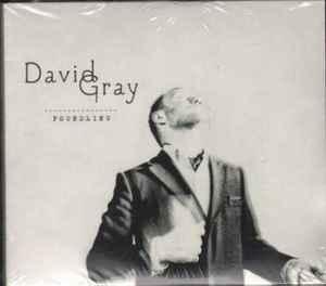 cd digi - David Gray - Foundling, Cd's en Dvd's, Cd's | Rock, Zo goed als nieuw, Verzenden