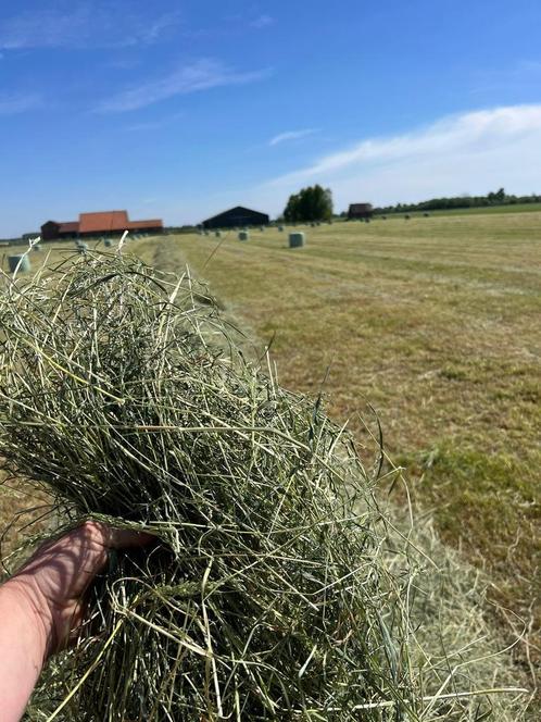 Wikkelbalen, Voordroog, Kuilbalen, vierkant en rond, Dieren en Toebehoren, Dierenvoeding, Vee