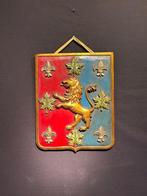 sculptuur, Scultura legno leone - 50 cm - Hout, Antiek en Kunst, Curiosa en Brocante