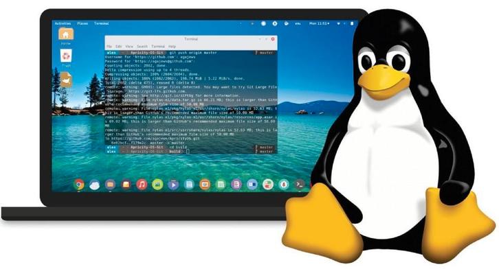Linux als gratis download of voor € 29,95 op USB Flash drive, Computers en Software, Besturingssoftware, Nieuw, Ophalen of Verzenden
