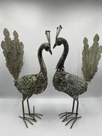 Sculptuuur voor buiten, Pareja de pavos reales - 60 cm -, Antiek en Kunst