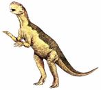 Ongelofelijke echte dinosaurusstaart - Gefossiliseerd geleed