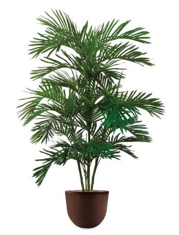 Areca Palm kunstplant, H160cm, Huis en Inrichting, Kamerplanten, Ophalen of Verzenden