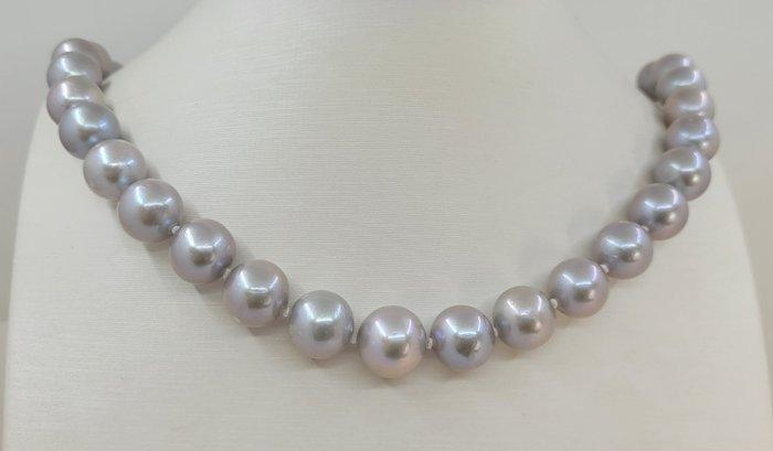 Halsketting 11×13 mm grijze Edison parels, Zilver, Sieraden, Tassen en Uiterlijk, Kettingen