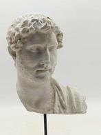 sculptuur, Adriano - 38 cm - marmerstof