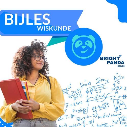 Wiskunde Bijles in Amsterdam - Verbeter Je Cijfers!, Diensten en Vakmensen, Bijles, Privé-les en Taalles, Bijles, Examen- of Scriptiebegeleiding