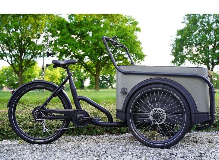 Elektrische bakfiets ROYAL CARGO BIKE twee en driewieler BDL, Fietsen en Brommers, Fietsen | Bakfietsen, 4 kinderen of meer, Elektrisch