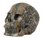 Bruine sneeuwvlok-obsidiaanschedel Gesneden schedel -