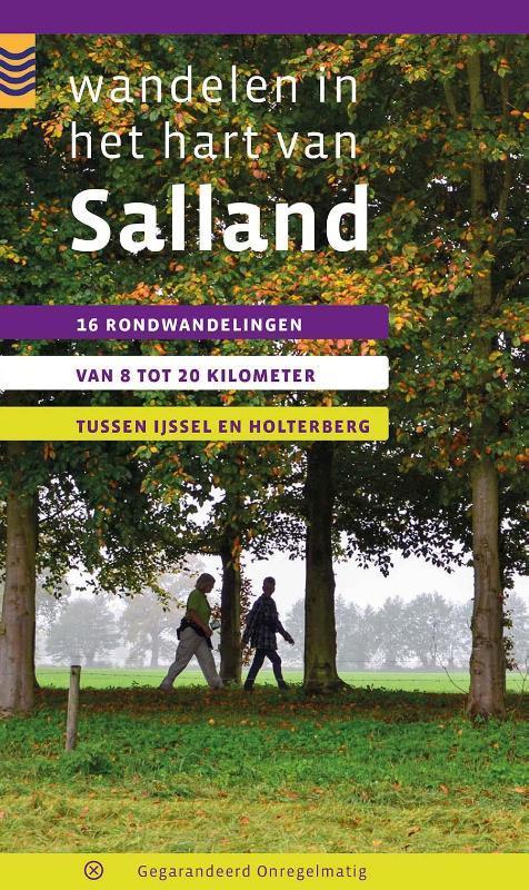 Wandelen in het hart van Salland 9789078641315 Maarten Metz, Boeken, Reisgidsen, Zo goed als nieuw, Verzenden
