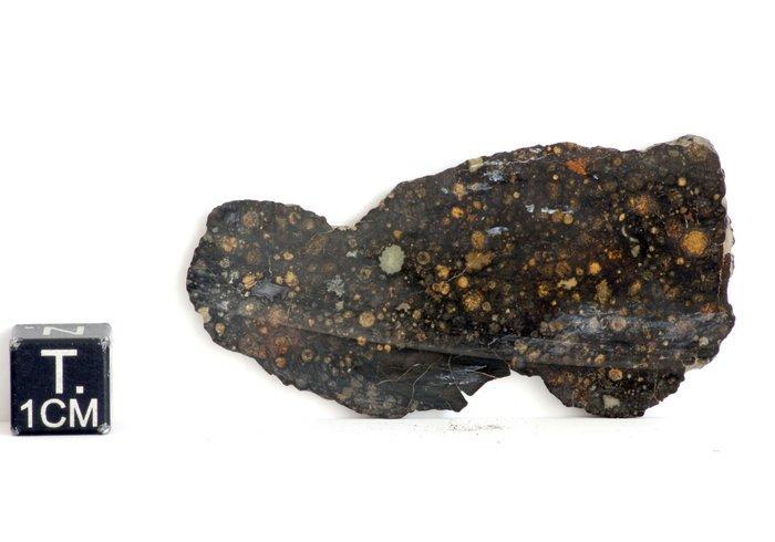 Een stuk van een meteoriet CVox3 NWA 4502 Koolstofhoudende, Verzamelen, Mineralen en Fossielen