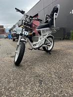 witte knaap te koop, Ophalen, Nieuw