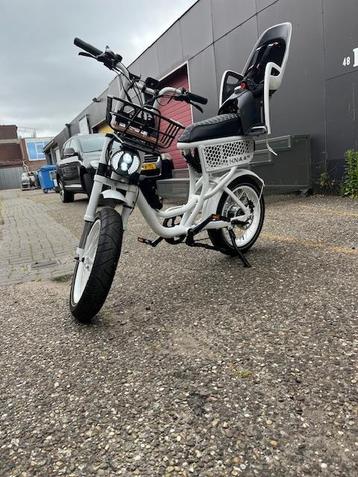 witte knaap te koop beschikbaar voor biedingen