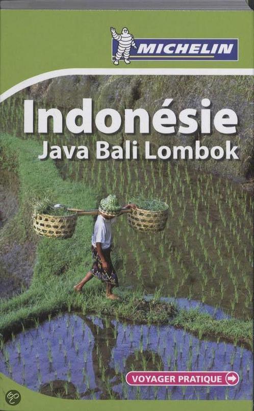 INDONESIE 28058 - VOYAGER PRATIQUE MICHELIN /, Boeken, Taal | Frans, Gelezen, Verzenden