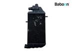 Radiateur Rechts BMW K 1200 LT 1999-2003 (K1200LT 99), Motoren, Verzenden, Gebruikt